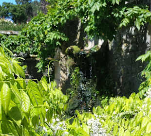 Pflanzenpracht im Bodnant Garden