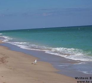 Traumhafter, menschenleerer Sandstrand