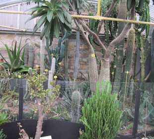 Botanischer Garten Bergamo