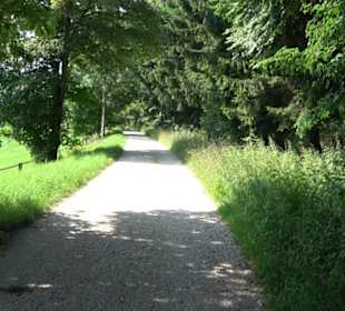 Waldlehrpfad St. Johann