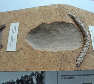 Schutz eines Deiches vor Aushöhlung