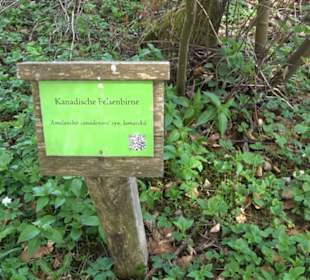 Strauchlehrpfad