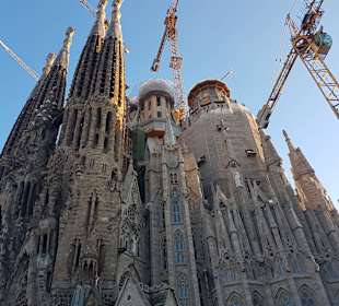Katedra Sagrada Familia
