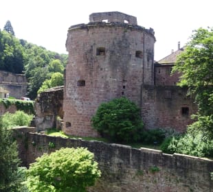 Schloss Heidelberg und Umgebung