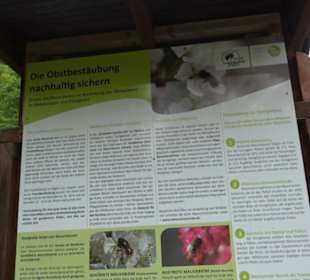 Naturinfopfad Weggental