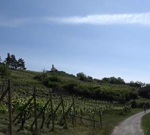 Früchtetrauf - Wurmlinger Kapellenwegle