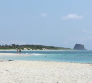 Auf der Insel