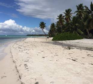Saona 