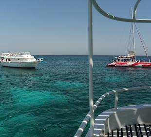 Delphin-Tour