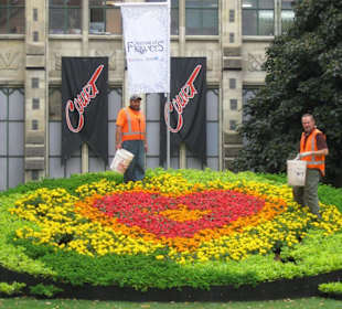 Christchurch putzt sich heraus fürs..
