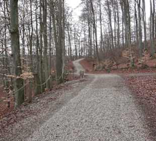 Wildpark Eichert