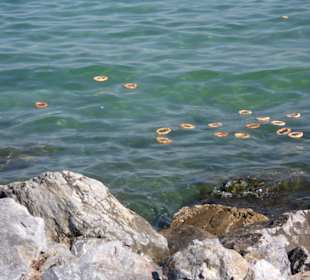 Lebensmittel schwimmen im Meer
