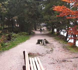 Erlebniswelt Mummelsee