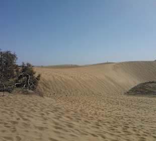 Dünen von Maspalomas