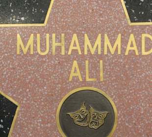 Er hat seinen Stern an der Wand