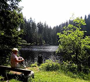 Glaswaldsee bei Bad Peterstal