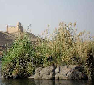 Blick von der Kitchener Insel auf das Aga Khan Mau