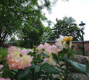 Blüten im Kurpark