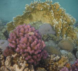 Krása podmořského světa