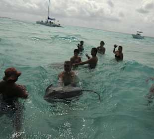 Im Wasser mit den Rochen