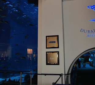 Aquarium