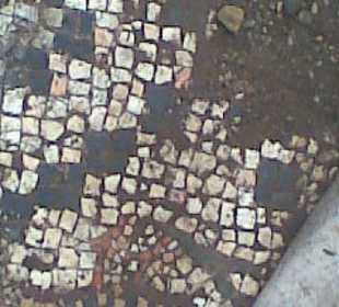 Sehr sehr alte, aber neue Funde