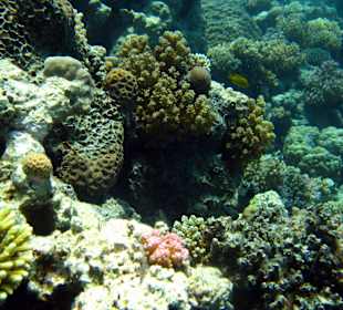 Golden 5 Diamond Resort