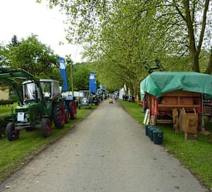 Landpartie Springer Schloss