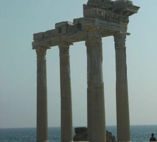 Apollo -Tempel