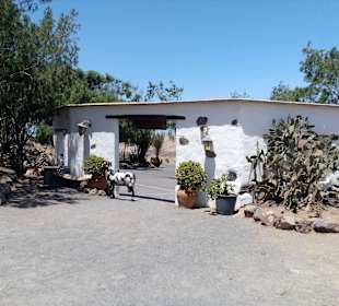 Ziegenfarm Finca Pepe