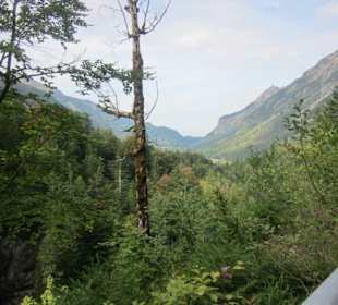 Blick vom Berg Richtung Einödsbach