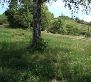 Früchtetrauf - Wurmlinger Kapellenwegle