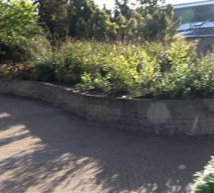 Botanischer Garten