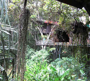 Baumhaus Khao Sok Nationalpark