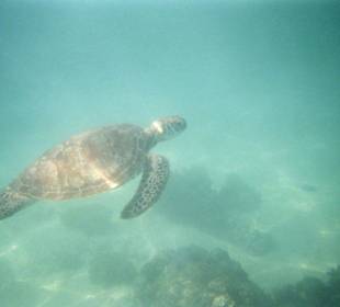 Ningaloo Reef Marine Park