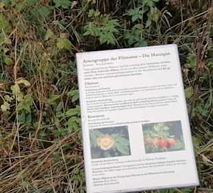Schaugarten Eninger Weide