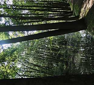 Rezerwat Przyrody Niebieskie Źródła