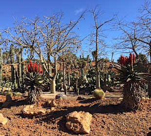 Botanischer Garten Botanicactus Ses Salines