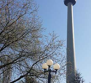 Frühling im Westfalenpark Dortmund