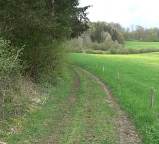 Premiumwanderweg Hochgebürzelt