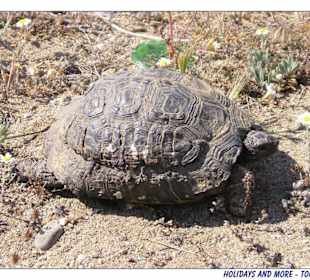 Impressionen von der Chalkidiki