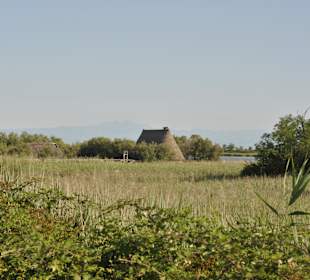 Wandern Caorle