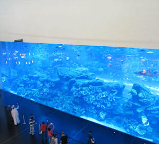 Aquarium Dubai Mall