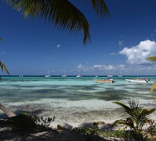 VIVA Diving & Excursions Saona Beach