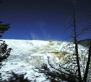 Mammoth Hot Springs