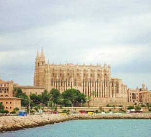 Palma