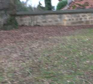 Evangelische Martinskirche