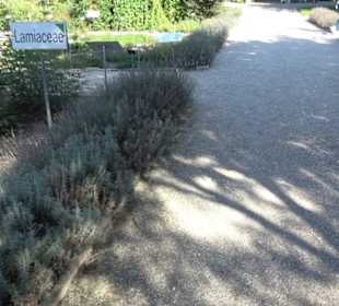 Botanischer Garten München