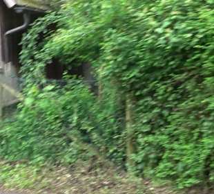 Dorfmuseum Dietersweiler