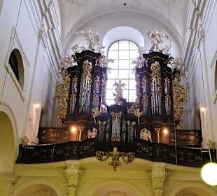 Orgel